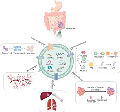 Frontiers | Exosomes As Drug Delivery System In Gastrointestinal Cancer